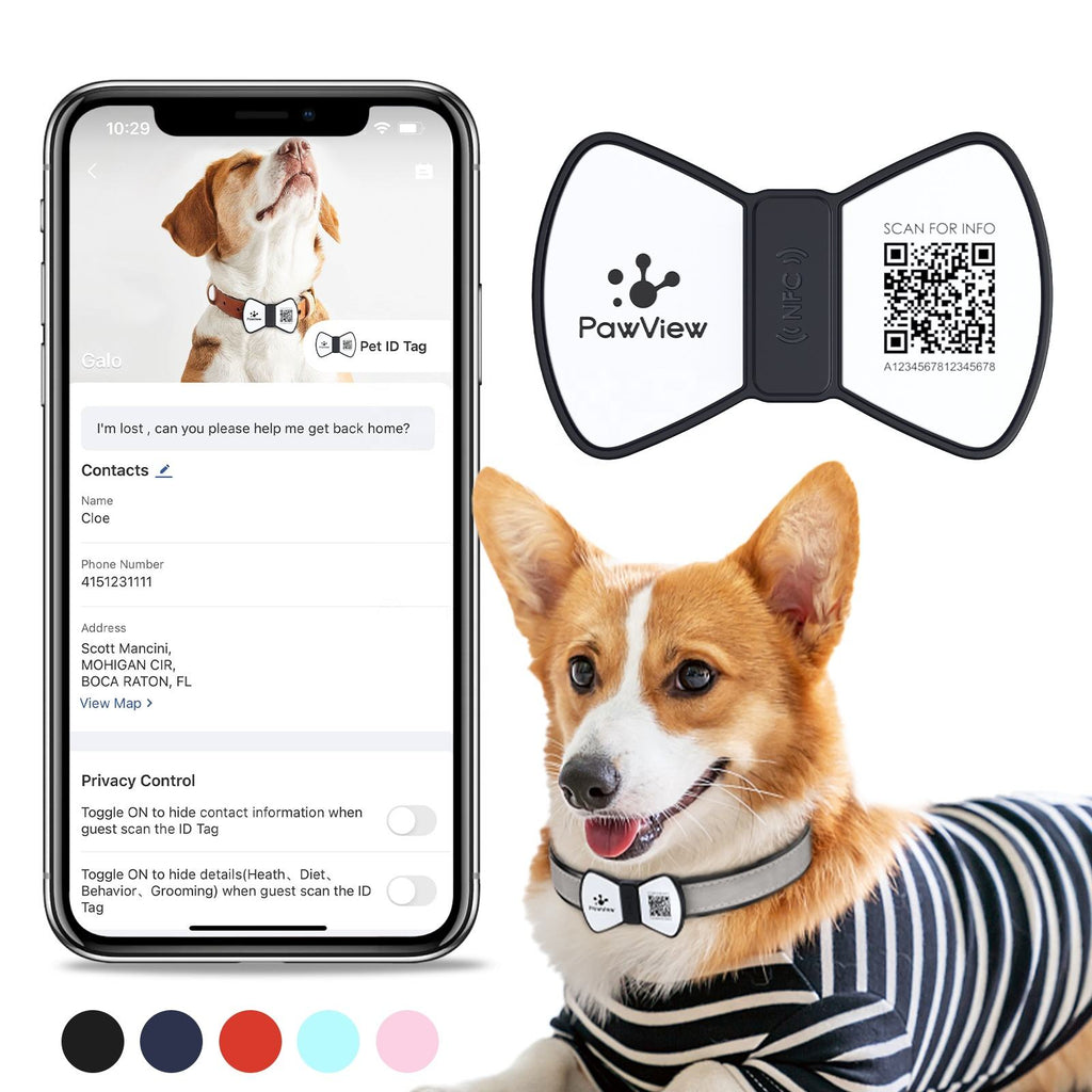 NFC QR Smart Pet ID Tag — Instant Scan, No App Needed