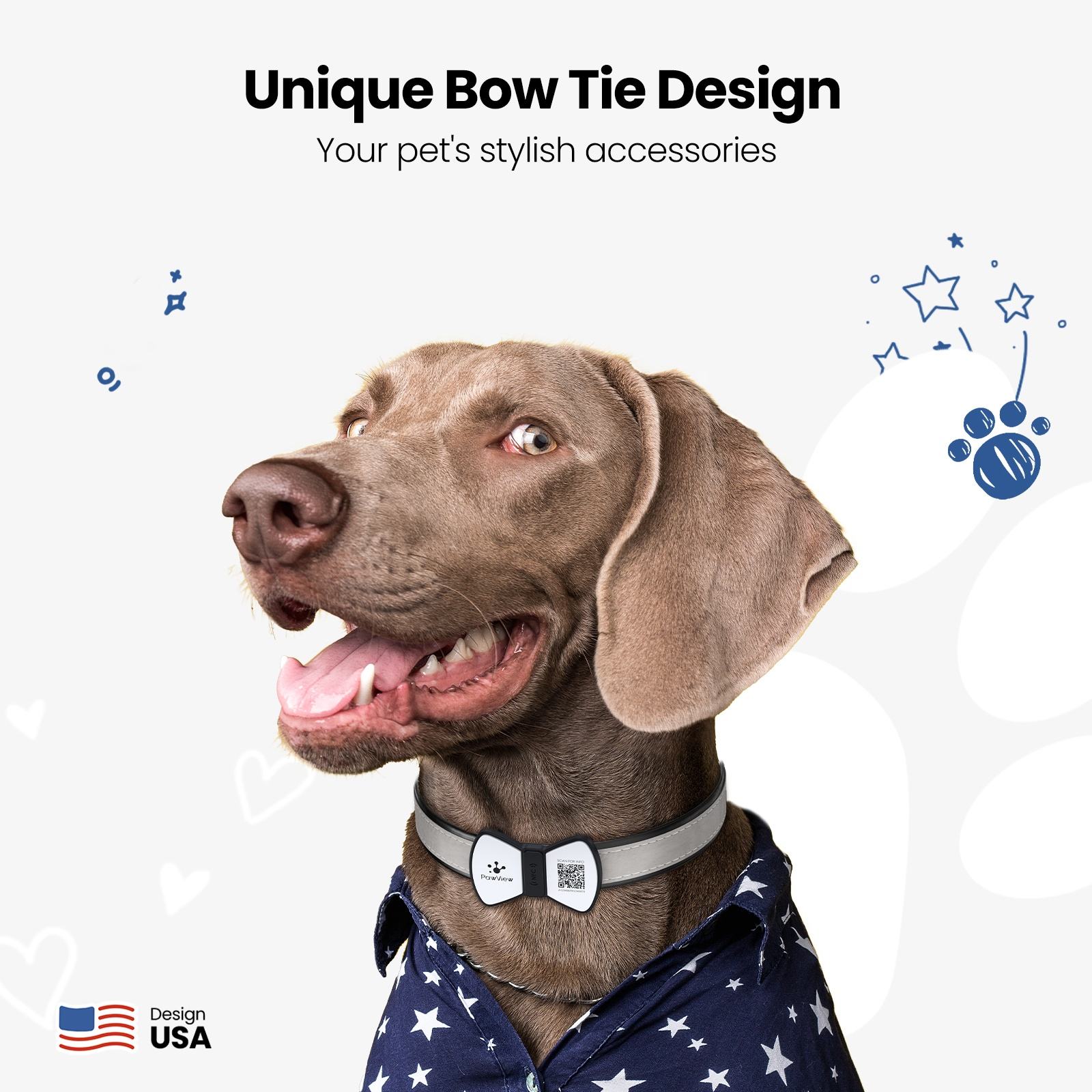 NFC QR Smart Pet ID Tag — Instant Scan, No App Needed